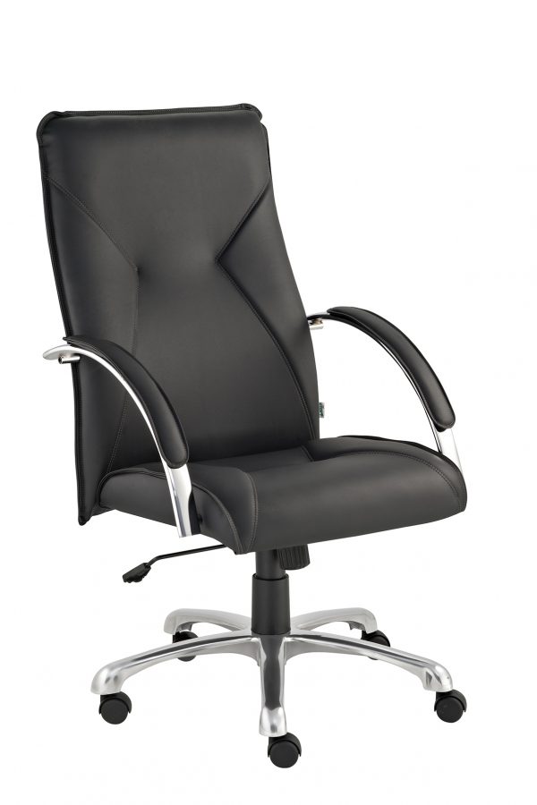 Silla Ergon